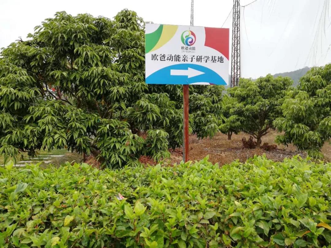 歐爸動能