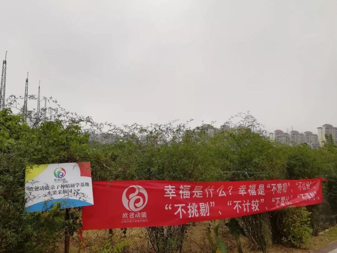 歐爸動能